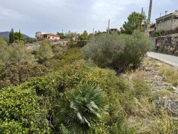 Land in Olivella