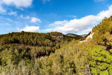 Terrenos en Urbanització de Les Fonts De Sant Bernat