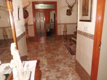Casa o chalet 4 Habitaciones en Peñarroya-Pueblonuevo