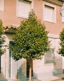 Casa o chalet 6 Habitaciones en Cabañas de Ebro