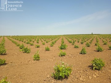 Terrenos en Socuéllamos