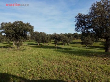 Casas rústicas en Alcaracejos