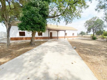 Casa o chalet 4 Habitaciones en Marchena