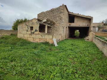 Terrenos en Montuïri