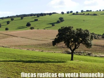 Land in Viso del Marqués