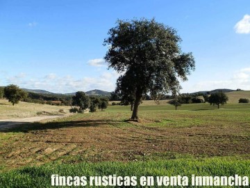 Land in Viso del Marqués