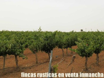 Land in Herencia