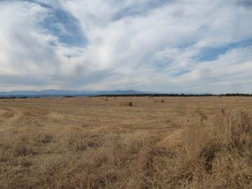 Terrenos en Las Herencias