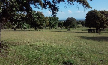 Terrenos en Casco Histórico