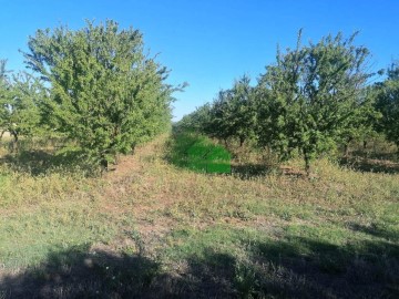 Terrenos en Lacara