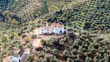 Country homes in Montoro