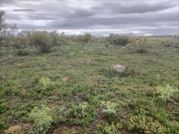 Terrenos en Almonacid de Toledo