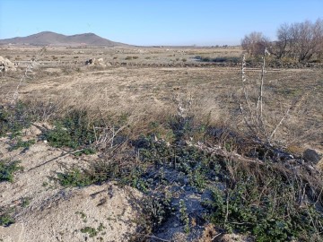 Terre à Villaminaya