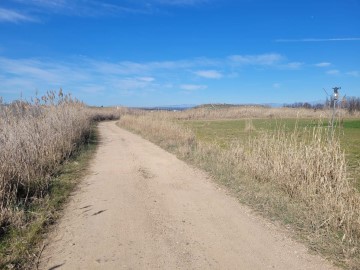 Terreno em Alcolea de Tajo