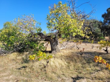 Terrenos en Mejorada