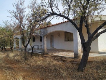 Terreno em Alcaudete de la Jara