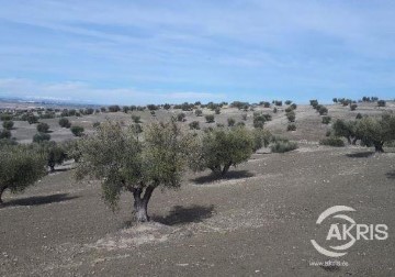 Terrenos en Alameda de la Sagra