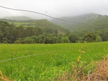 Terrenos en Solórzano