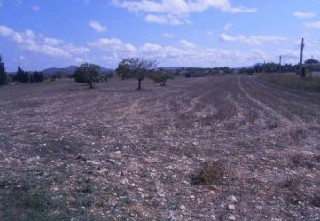 Terrenos en Santiago de Mora