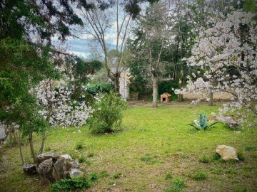 Terrenos en El Clavin