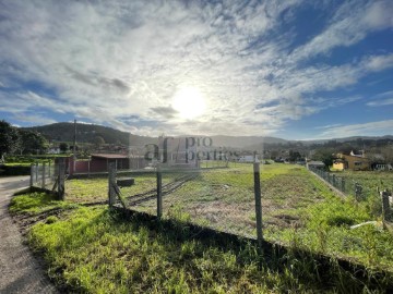 Terrenos en Borreiros (San Martiño P.)