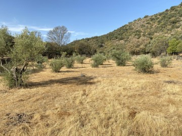 Terrenos en El Torno