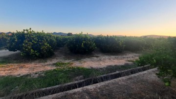 Terrenos en Gavarda Antiguo