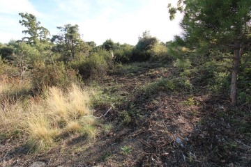 Terrenos en El Berrueco