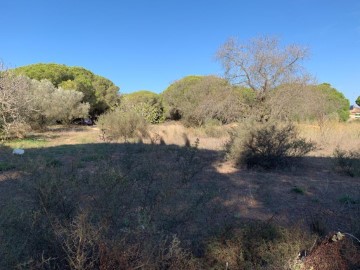 Terrenos en Las Lagunas - Campano