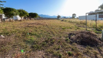 Terreno em Oliva pueblo