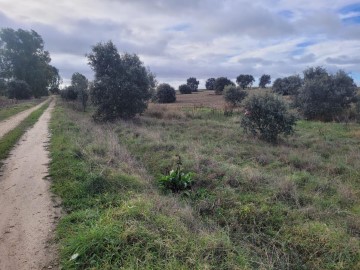 Terrenos en Ribera del Alberche