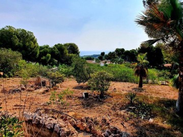 Terre à Casco Urbano