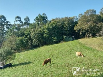 Terrenos en La Peral