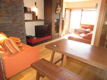 Apartment 1 Bedroom in Candanchu