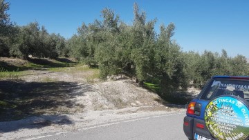 Terrenos en Cuevas del Campo