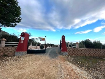 Terrenos en Alcolea del Río