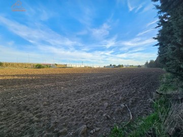 Terre à Humanes de Madrid