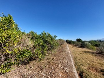 Terrenos en Tormos