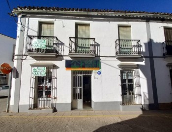 Casa o chalet 4 Habitaciones en Fuentes de León