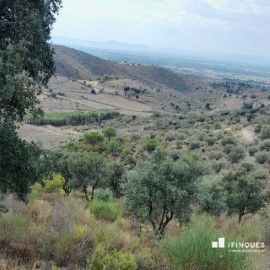 Terre à Montperdut