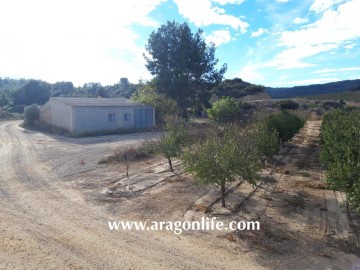 Casas rústicas en Maella