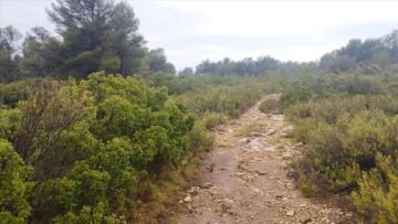 Terrenos en Cumbres de Valencia