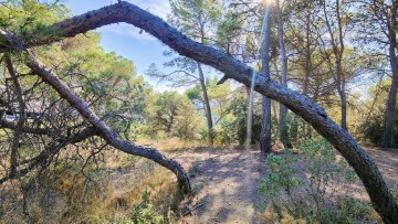 Terrenos en Sant Feliu del Racó