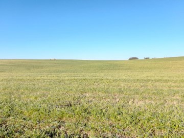 Land in Chozas de Canales