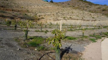 Casas rústicas 1 Habitacione en Motril pueblo