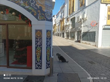 Loja em Zafra