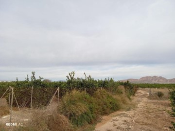 Country homes in Dolores de Pacheco-Santa Rosalía