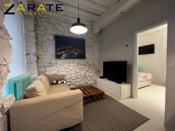 Apartment 1 Bedroom in Portuondo-Basaran