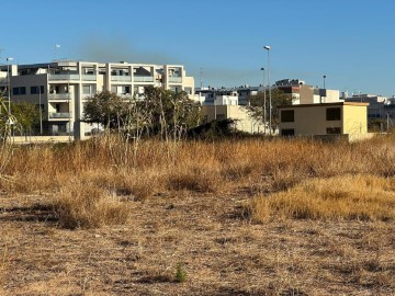 Terrenos en l'Alcúdia