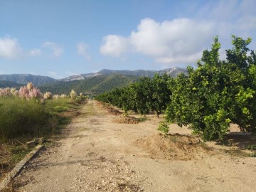 Terreno em Centro